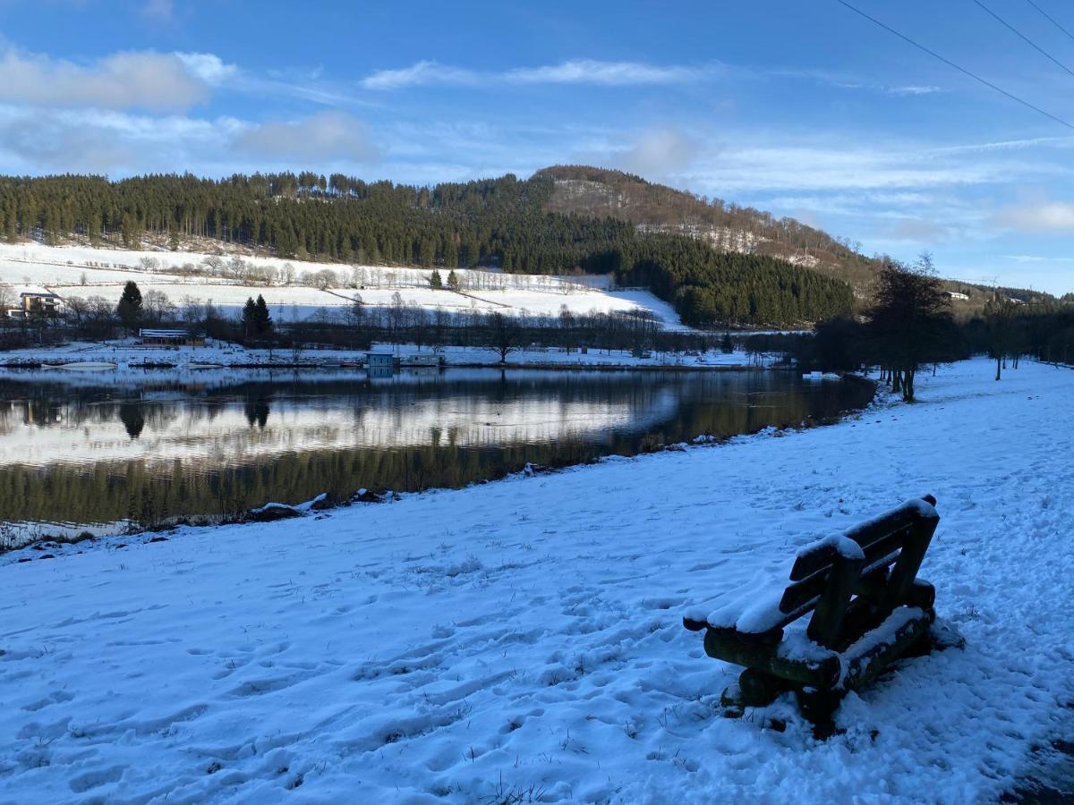 Ferienwohnung Am Hillestausee Winterberg Dış mekan fotoğraf
